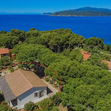 Casa vacanze Artistica Trappola